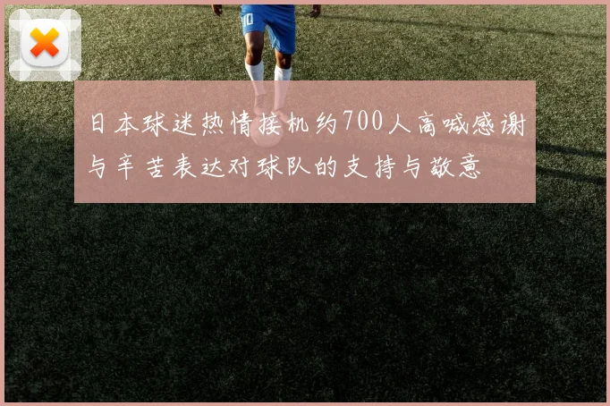日本球迷热情接机约700人高喊感谢与辛苦表达对球队的支持与敬意