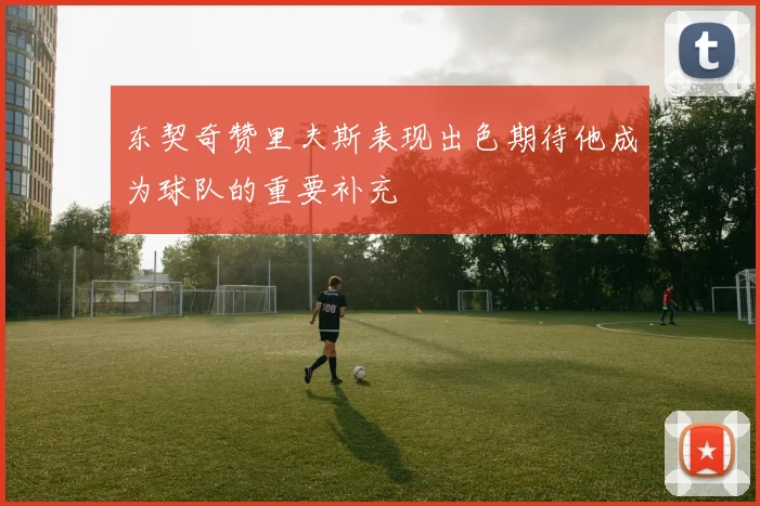 东契奇赞里夫斯表现出色期待他成为球队的重要补充
