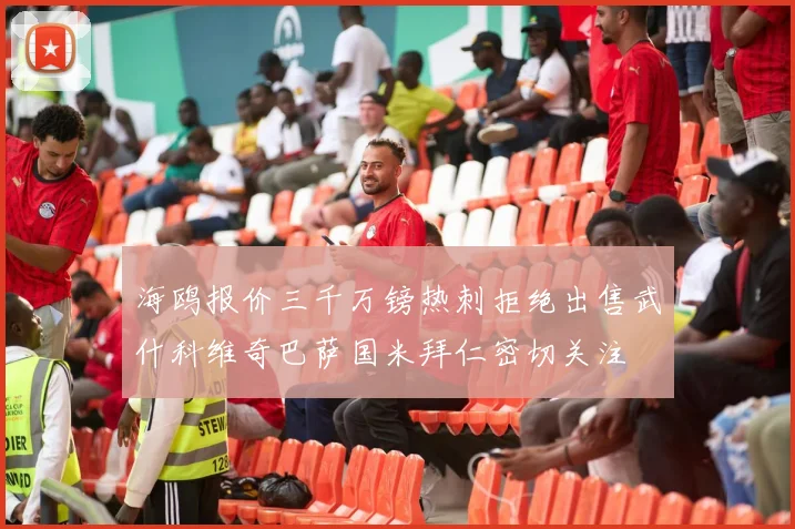海鸥报价三千万镑热刺拒绝出售武什科维奇巴萨国米拜仁密切关注